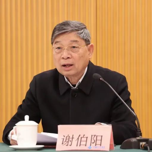 謝伯陽一行赴金杯電工開展“民企出海”專題調研